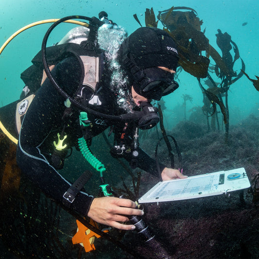 Womens Thermoflex Dive Full Wetsuit 8/7mm