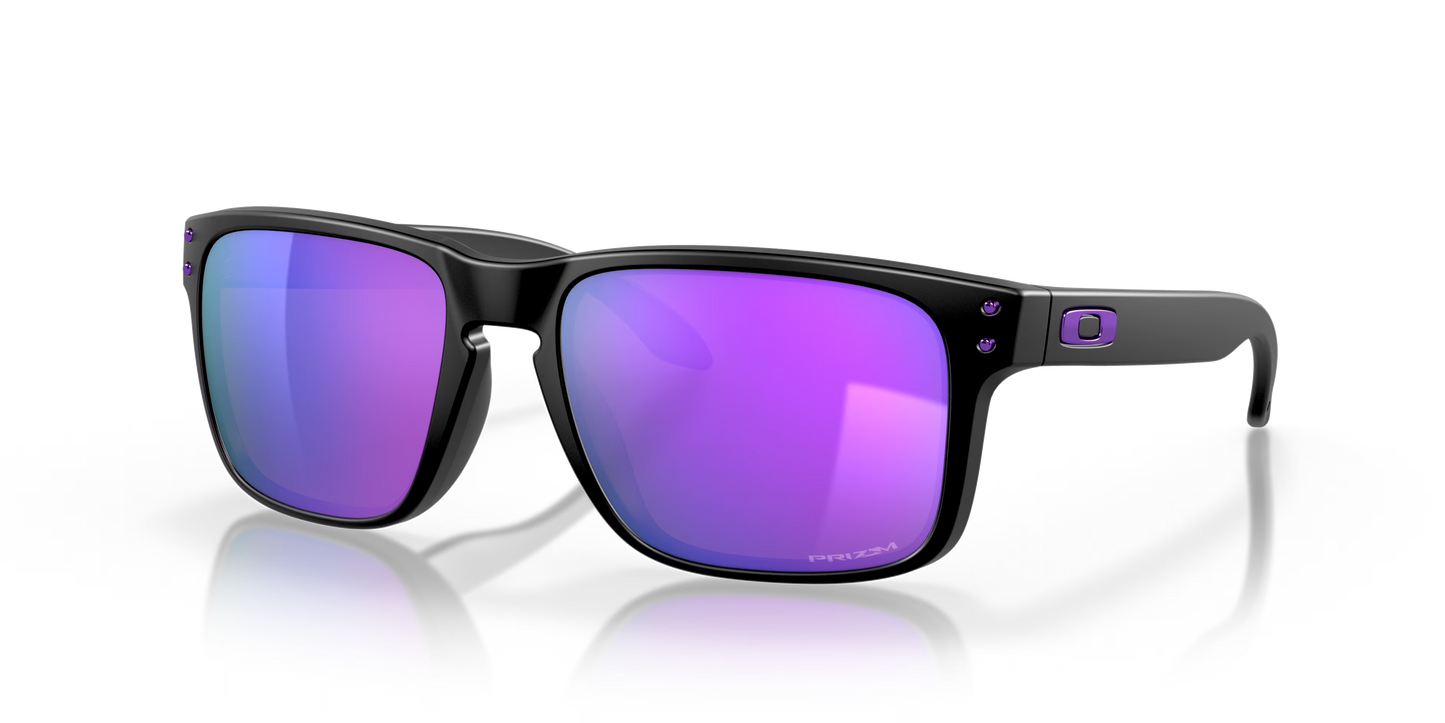 Holbrook Sunglasses